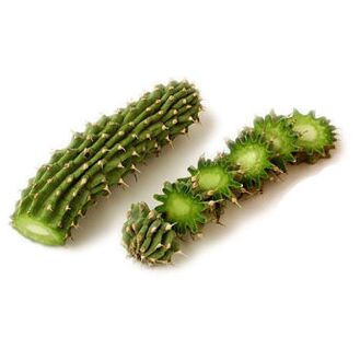 Hoodia Gordonia - Composition Reduslim