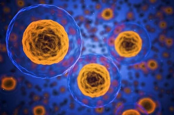 How does the weight loss process work